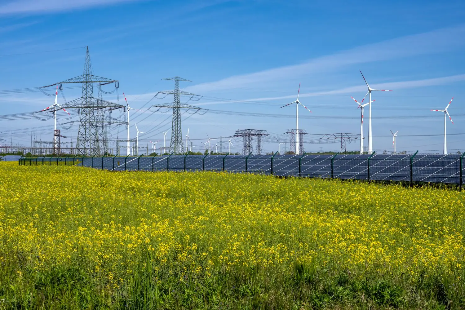 Jak działają inteligentne sieci energetyczne i dlaczego obniżają rachunki za prąd?